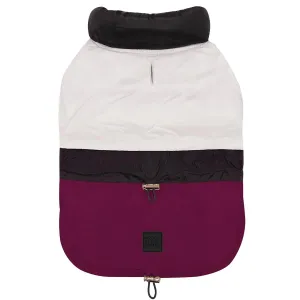 DGG Fashionista Dog Jacket Rogue