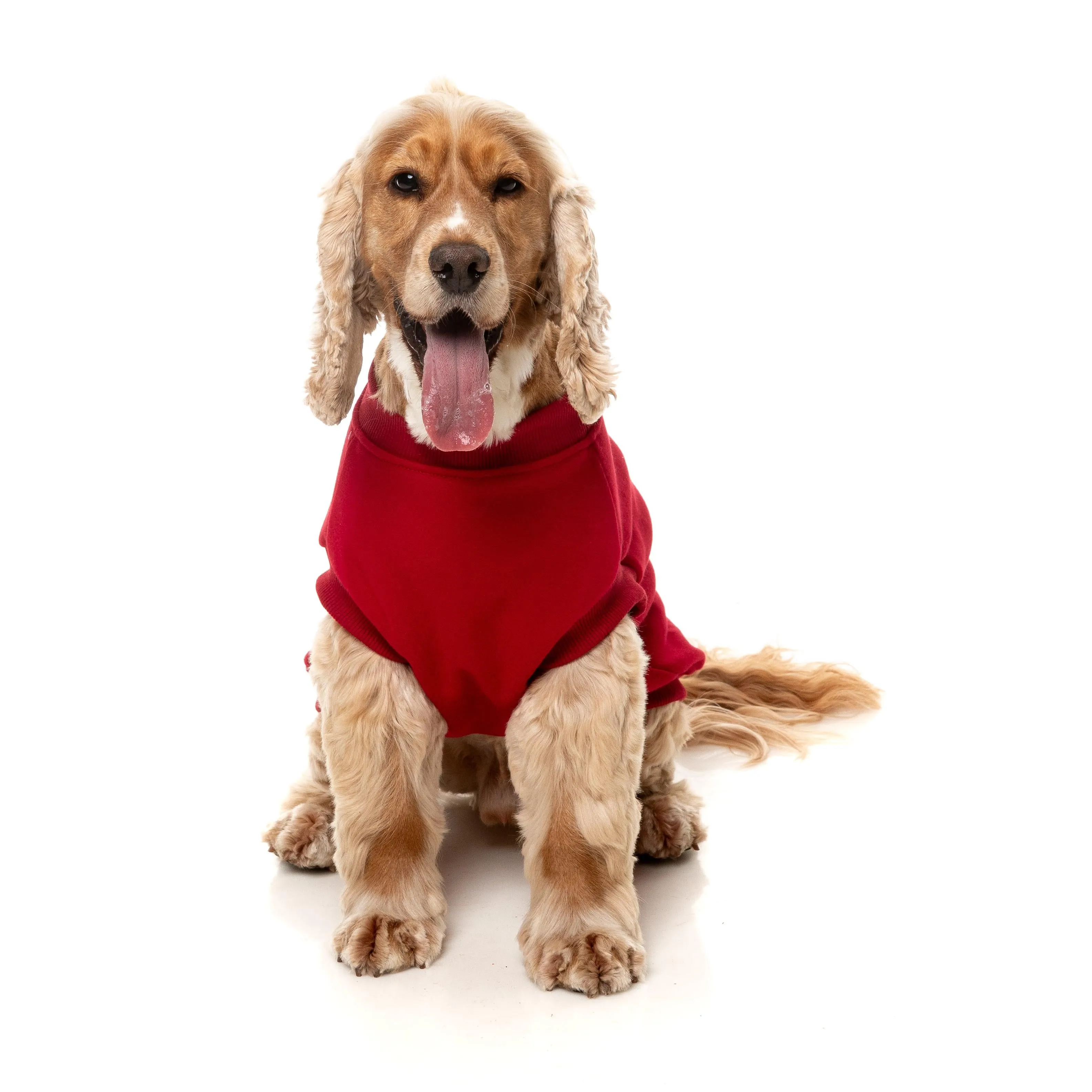 FuzzYard Dog Apparel Allday 25 Sweater Red Size 6