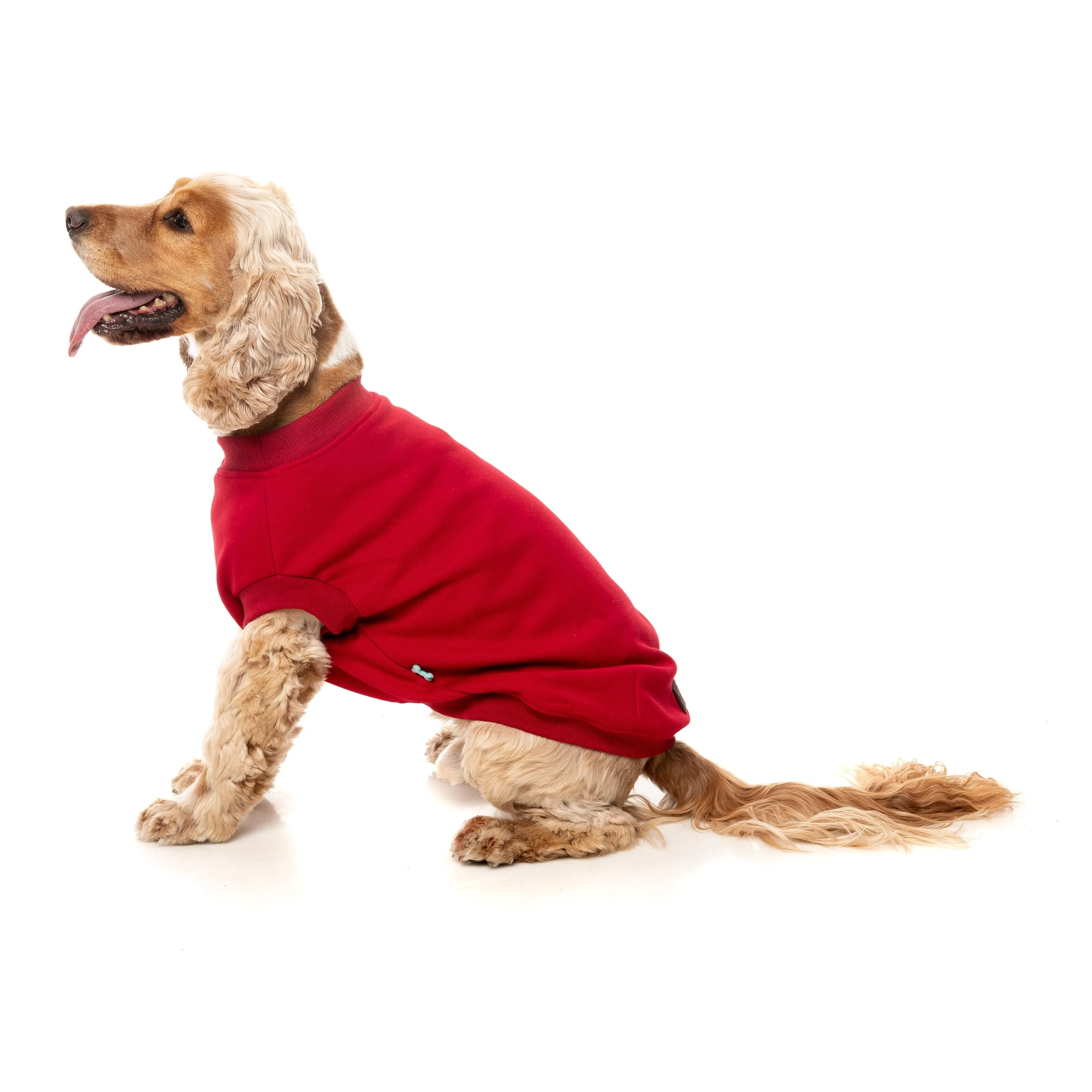 FuzzYard Dog Apparel Allday 25 Sweater Red Size 6