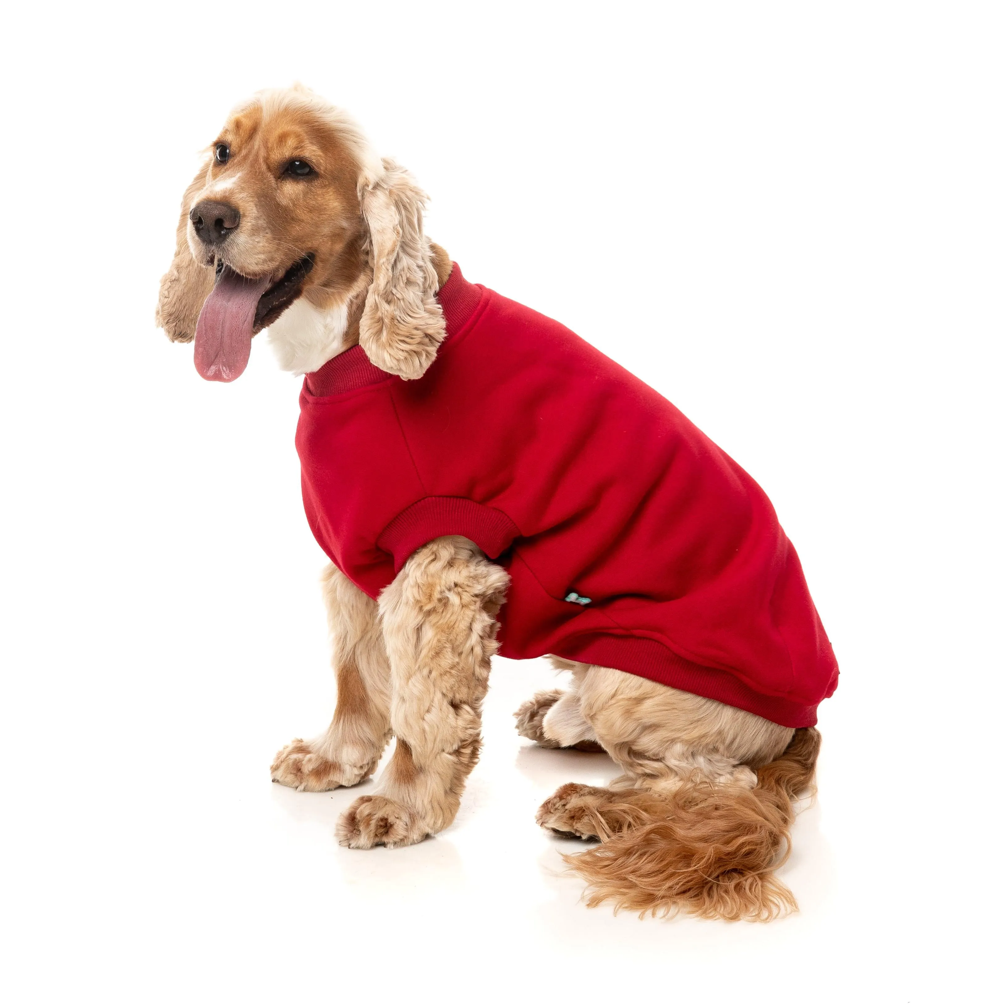 FuzzYard Dog Apparel Allday 25 Sweater Red Size 6